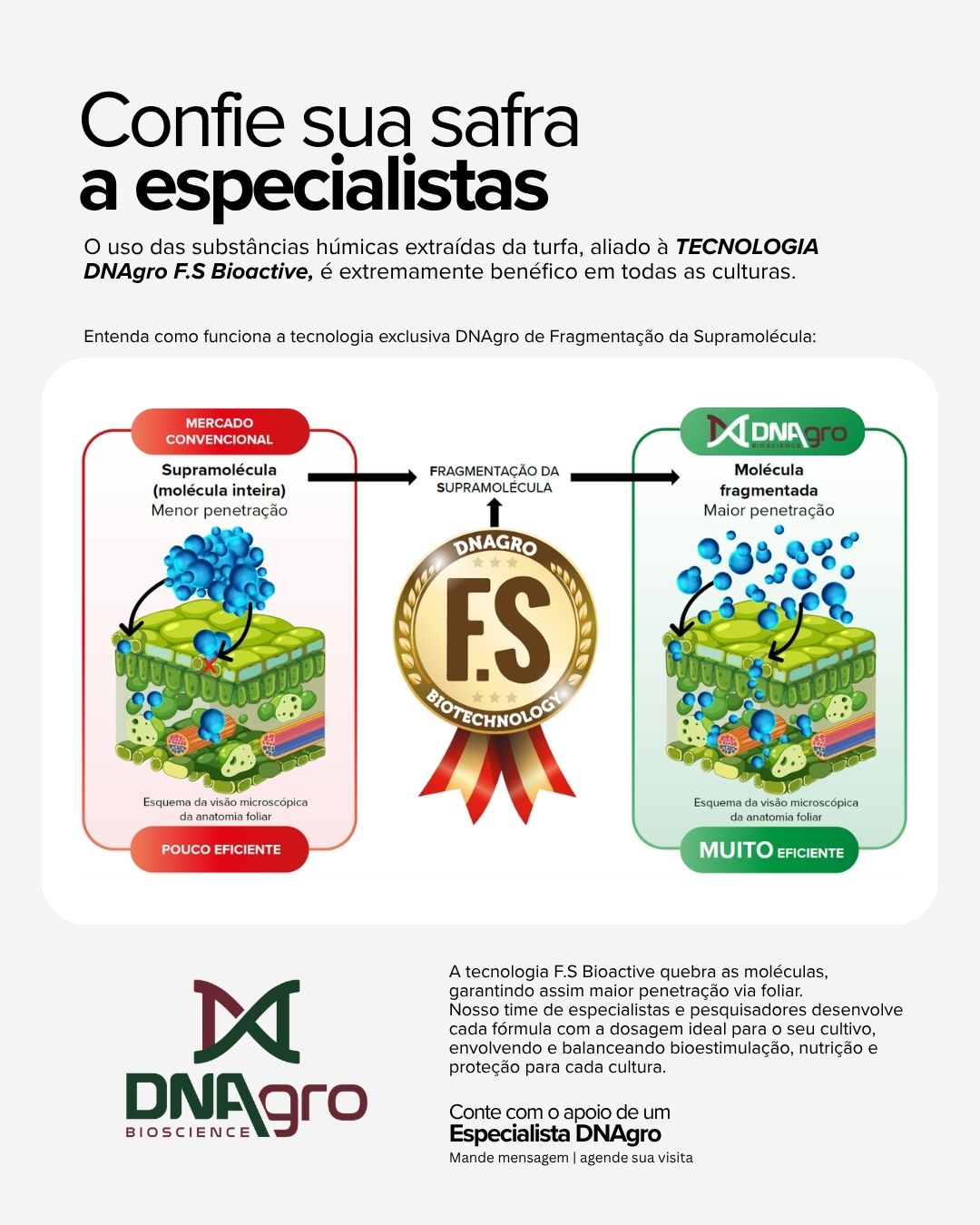 🌿Contar com bioestimulação calibrada de forma correta é bom, mas ter a junção de bioestimulação e tecnologia exclusiva que amplia a absorção foliar é ainda melhor!🧬🧪Conte com a DNAgro para aumentar o aproveitamento dos nutrientes entregues à planta via foliar, por meio da tecnologia F.S. Bioactive.Nossa tecnologia quebra as moléculas, garantindo maior penetração via foliar. Nosso time de especialistas e pesquisadores desenvolve cada fórmula com a dosagem ideal para o seu cultivo, equilibrando bioestimulação, nutrição e proteção para cada cultura.