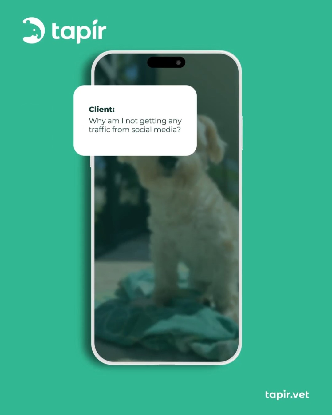 What people think marketing is: Posting on Instagram once in a while.What marketing actually is: SEO, analytics, strategy, ads, content creation, and so much more.Pro Tip: Don’t sweat it—Tapir takes care of all the behind-the-scenes so you can focus on everything else.#veterinary #vetmed #vetlife #vettech #marketing